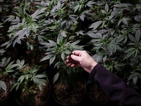 At least nine ETFs in the U.S. and Canada currently invest in pot stocks, while another two are seeking approval to list in the U.S.
