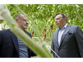 Francois Legault, right, chats with Biologico organic tomato greenhouse owner Stephane Roy during an election campaign stop in Saint-Sophie, Que., Thursday, August 16, 2012. Search and rescue teams will continue their search today for Quebec businessman Roy and his teenage son who've been missing since mid-week after failing to return from a fishing trip in northern Quebec.