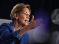 Senator Elizabeth Warren has made taxing them and curbing their power key planks in her plank-heavy election platform.