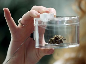 An employee holds a display of dried marijuana at the Fire and Flower store in Ottawa.