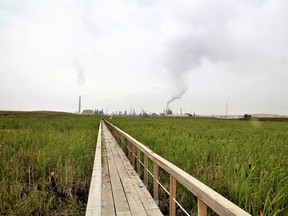 A catwalk cuts through Syncrude Canada's Sandhill Fen reclamation project, which was once the site of an open-pit mine and then a tailings pond, located north of Fort McMurray, Alta. in 2017.