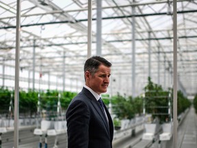 Tilray CEO Brendan Kennedy at the company’s greenhouse in Portugal.