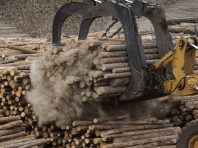 A machine unloads logs for processing at a sawmill in Quesnel, British Columbia.