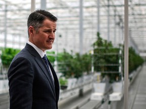 Tilray CEO Brendan Kennedy at the company's Portugal growing facility.