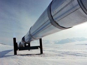 This handout image from Aug. 7, 2006 shows a section of the 1,300-kilometre Trans Alaska Pipeline.