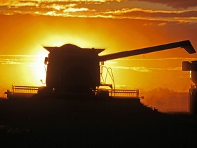 How farmers manage data and technology could determine the future of Canadian agriculture, according to a new study from RBC researchers and economists.