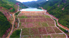 Ying Tailings management facility (TMF).