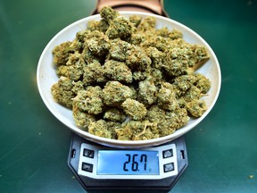 Cannabis on a scale in a dispensary in California.