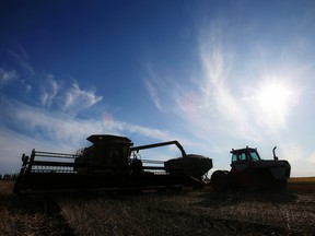 Canola is loaded into a grain cart on a farm in Manitoba.