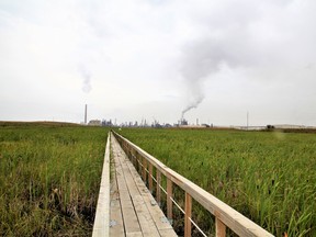 A catwalk cuts through Syncrude Canada's Sandhill Fen reclamation project, which was once the site of an open-pit mine and then a tailings pond, located north of Fort McMurray, Alta.