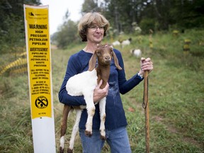 Barbara Gard is pictured on her land which runs along the Trans Mountain pipeline and is where construction will take place for the expansion taking away grazing land for her goats and other livestock in Abbotsford, B.C., Tuesday, September, 10, 2019.