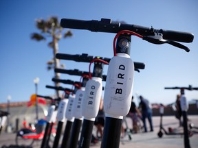 A line of Bird scooters in San Diego, California.