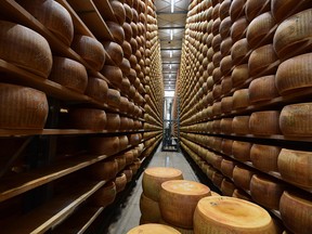 Parmesan cheeses stored at the Minelli dairy farm in Motteggiana, Italy. The United States on Wednesday said it would slap 10 per cent tariffs on European-made Airbus planes and 25 per cent duties on French wine, Scotch and Irish whiskies, and cheese from across the continent.