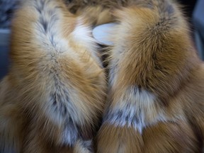 Macy's is the first major American department store to announce it will stop selling fur.