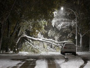 An early winter storm with heavy wet snow caused fallen trees, many on cars, and power lines in Winnipeg early Friday morning, October 11, 2019. Snow clearing crews were forced to hit the streets to clean up the damage.