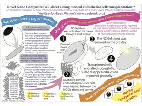 Corneal endothelial cell transplantation for Bullous Keratopathy from lab to clinical translation using polymer cocktails and nano-composite gel sheet
