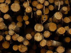 Logs at a Canfor mill in B.C.