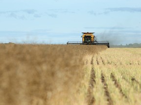 Toban Dyck: Tweeting angrily about the parties that some of Canada’s largest cities routinely elect is not going to convince people in those cities that agricultural concerns are everyone’s concerns.