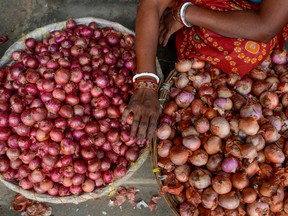 A vegetable seller sorts onions at a market in Siliguri on November 25, 2019, as the price of onions have risen sharply in the past few months in some parts of the country.