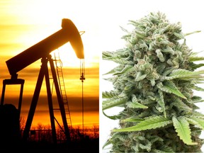The two biggest Canadian losers this year are energy and cannabis shares.
