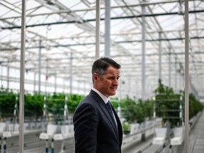 Tilray CEO Brendan Kennedy at the company's European production site.