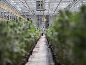 With pot illegal federally in the U.S., many companies in the industry struggled to find landlords willing to rent space and ended up owning property. Now, they're using those assets to get capital.
