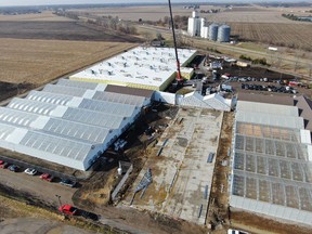 Cresco Labs harvests first crop from their expanded 224,000 sqft Cultivation Facility in Lincoln, Illinois