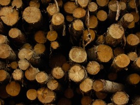 Logs sit in the sort yard of a Canfor mill. The forestry sector is experiencing “short-term pain,” but analysts say that 2020 is looking brighter.