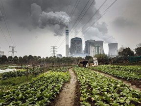 Bloomberg Best of the Year 2019: A man tends to vegetables in a field as emissions rise from nearby cooling towers of a coal-fired power station in Tongling, Anhui province, China, on Wednesday, Jan. 16, 2019