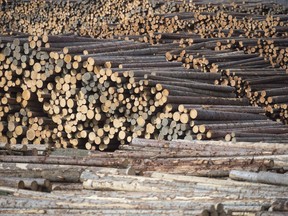 Softwood lumber at Tolko Industries in Heffley Creek, B.C. The layoffs and shutdowns are causing widespread economic and social pain in the province.