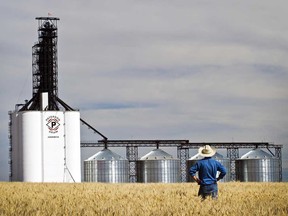 A grain facility in Saskatchewan. Trade is not important to Canada, it is vital, writes Toban Dyck.