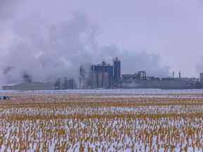 The JBS plant in Brooks, Alta.
