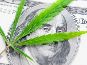 Short-sellers are winning big this year with expensive bets against pot stocks.