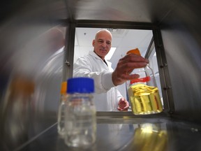 Stephen Theriault, microbiologist and chief executive of Winnipeg-based Cytophage Technologies, at his lab.