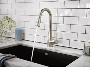 The smart home product designed to make everyday tasks easier - Moen introduces line of voice-activated kitchen faucets at CES 2020.