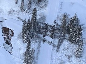 Aerial photo taken by Coastal GasLink on Monday along the Morice Forest River Service Road show dozens of trees have been felled and are blocking the road, which leads to a Coastal GasLink work camp, an hour from Houston, B.C.