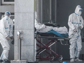 Medical staff members carry a patient into the Jinyintan hospital in China, where patients infected by a mysterious SARS-like virus are being treated. The true scale of the outbreak of a mysterious SARS-like virus in China is likely far bigger than officially reported, scientists have warned.
