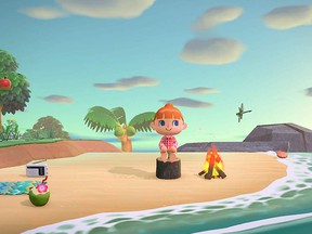Animal Crossing: New Horizons for Nintendo Switch plops players on an uninhabited island and sets them loose to develop it however they like.
