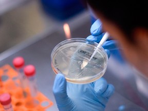 A researcher works on the development of a vaccine against the new coronavirus COVID-19, in Belo Horizonte, state of Minas Gerais, Brazil.