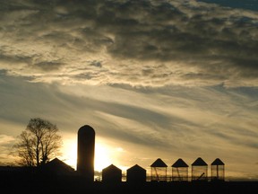 The agricultural sector has a lineage of resilience.