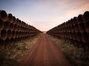 Miles of unused pipe, prepared for the proposed Keystone XL pipeline, sit in a lot on October 14, 2014 outside Gascoyne, North Dakota.