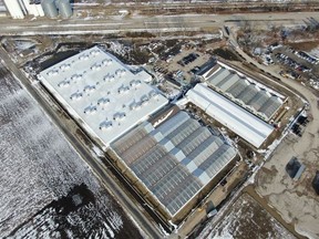 Cresco Labs' Lincoln, Illinois facility is the state's largest cannabis cultivation site