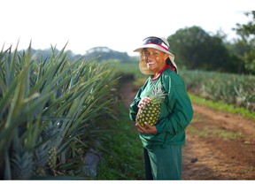 Dole Fresh Fruit, Pineapple Farm
