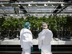 CannTrust Holdings Inc. filed for bankruptcy protection in Canada last week.