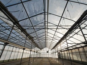 Thousands of square feet of shuttered cannabis greenhouses are now lying empty in British Columbia and Ontario due to the sudden and rapid decline of that industry over the past six months.