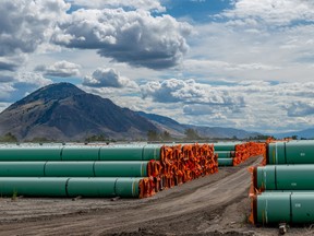 teel pipe to be used in the oil pipeline construction of the Canadian government’s Trans Mountain Expansion Project lies at a stockpile site in Kamloops, British Columbia.