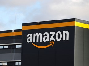 Amazon shareholders filed at least 14 resolutions — 12 of which are moving forward to a vote — more than any other company.