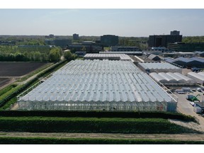 Construction of the Serre Red research greenhouse nears completion at Wageningen campus (April 2020, photo courtesy of Unifarm – Wageningen University & Research)