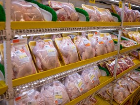 Chickens displayed for sale at a grocery store in the Brooklyn borough of New York.