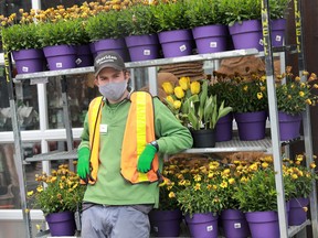 Green shoots of recovery. A worker leans on a rack of potted flowers at Sheridan Nurseries on the first day that garden centres re-opened in Ontario from the coronavirus disease restrictions in Toronto.